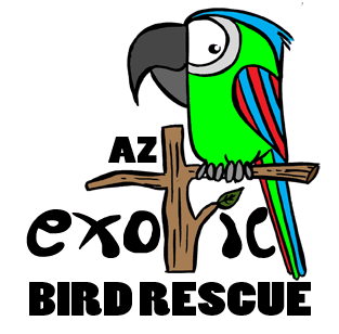 Arizona Exotic Bird Rescue