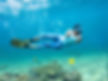 Belize Beach Conservation1