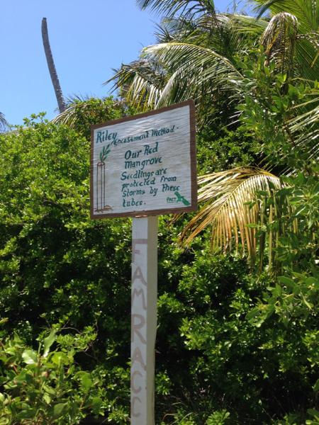 Thumbnail: Caribbean Beach Conservation3