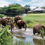 Thumbnail: LADIES ONLY SOUTH AFRICA