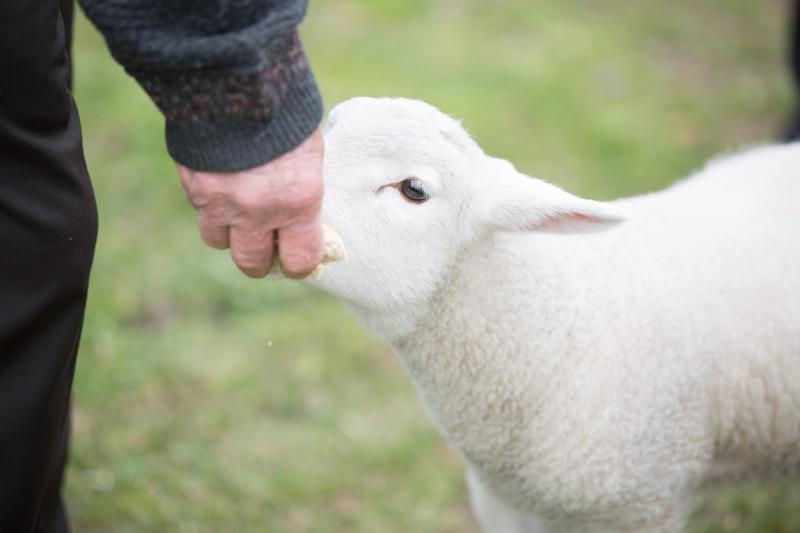 Thumbnail: Best of Tasmania & Country Estate