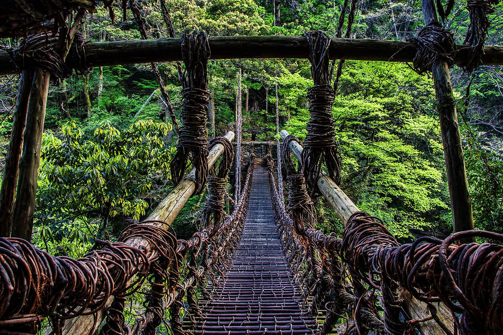 Thumbnail: Southern Japan Discovery