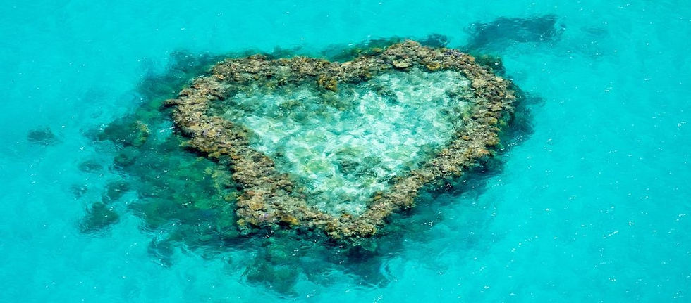 Thumbnail: Great Barrier Reef Full Day Adventure