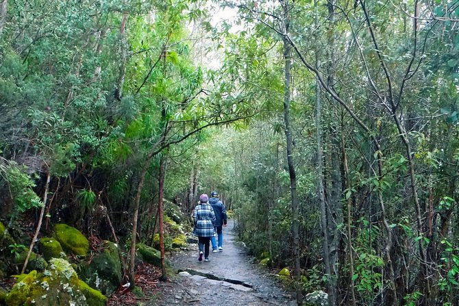 Thumbnail: https://www.tripadvisor.com.au/AttractionProductReview-g255097-d19150056-Kunanyi_Mt_Wellington_Explorer_Bus_One_Way_Tour-Hoba