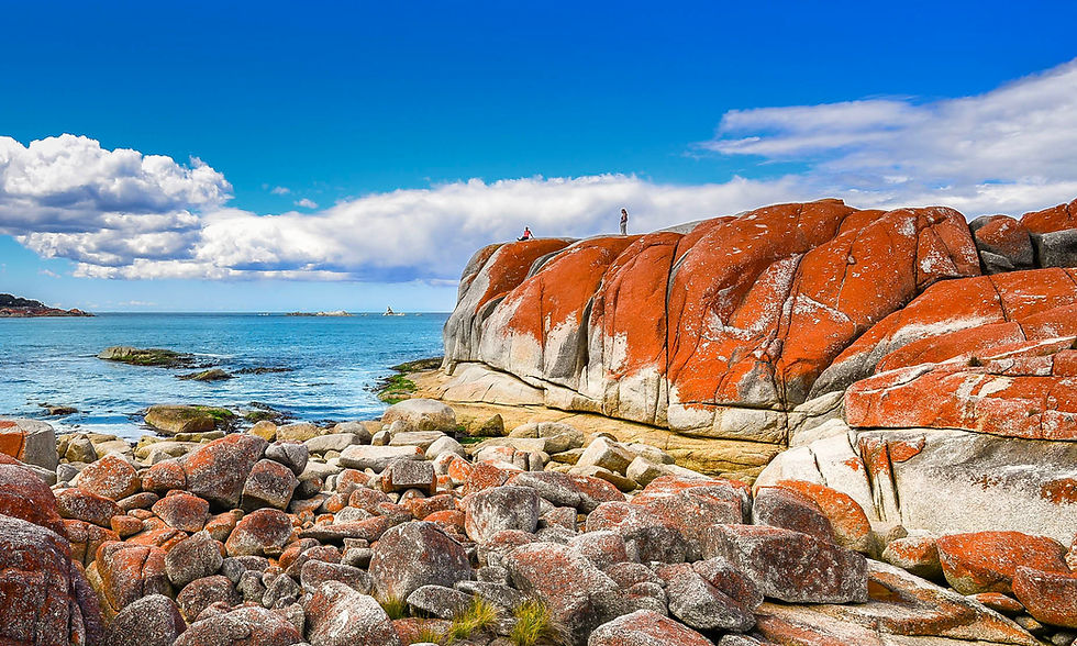 Thumbnail: Taste of Tasmania