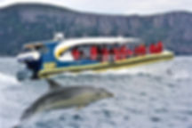 Credit To: Pennicott Wilderness Explorer