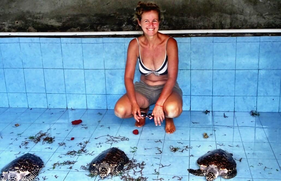 Thumbnail: Indonesia - Bali Sea Turtle Rescue