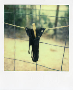 outside the fence series...