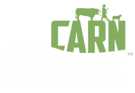 CARN EDWARD ON DARK GREEN - PNG.png