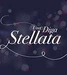 DIGA LOGO.webp