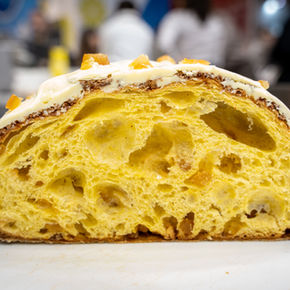 COLOMBA GOLOSA 
