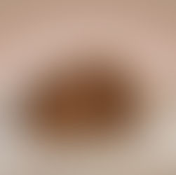 PANETTONE AL GIANDUIA