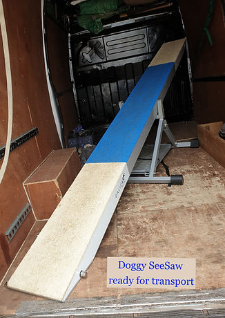 Doggy SeeSaw II_edited.jpg