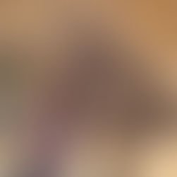 חציר לסוסים