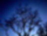 IMG_0900.jpeg