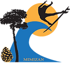 ecole de surf la Garluche à Mimizan