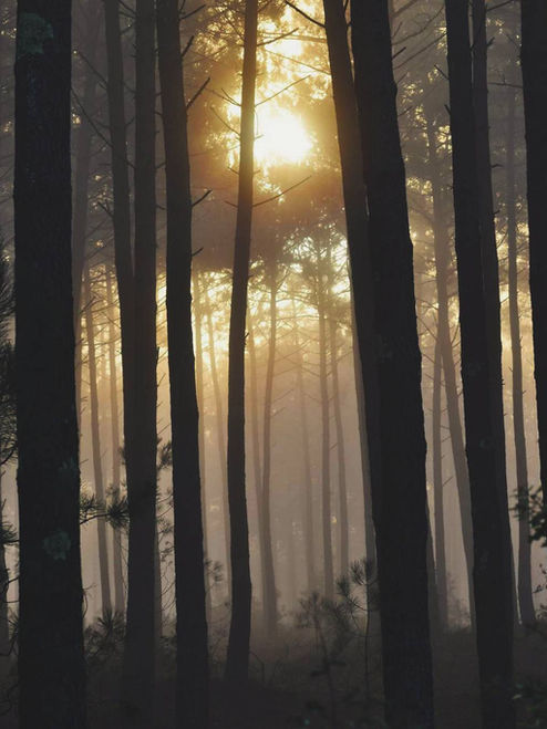 10 idées d'activités à Mimizan 🚣🏼