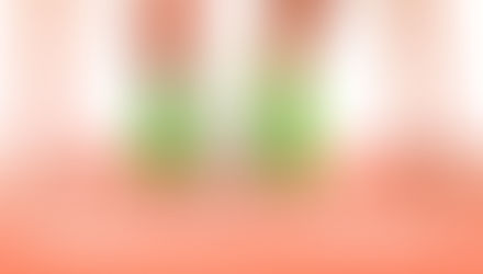 Preparando el contenido