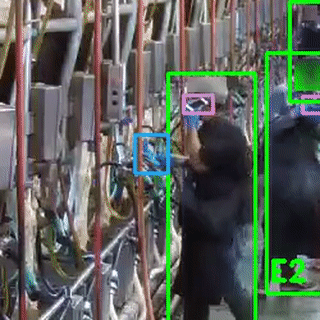 Cattle Care computer vision detects "Phone and resting" issue in the milking parlor