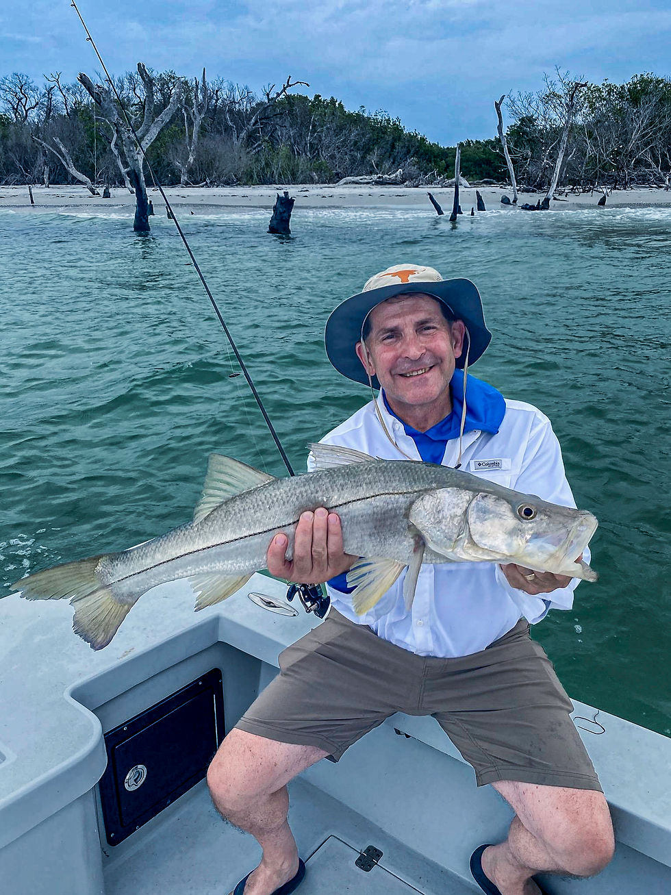 Snook