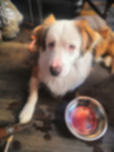 received_417271978865433.jpeg
