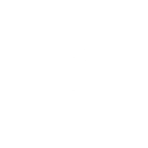 pngwing.com (1).png