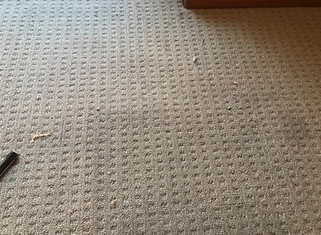 How much does it cost to repair a burn mark in my
carpet