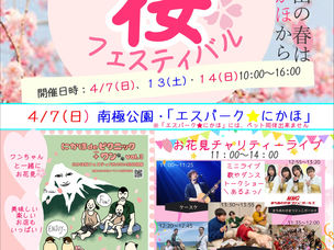 にかほ桜フェスティバル2024開催🌸
