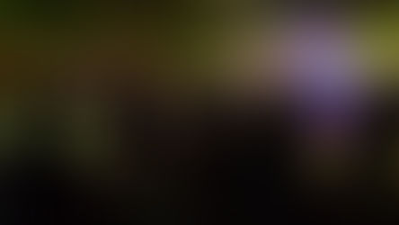 Сезонът на музикалните фестивали започна в околностите на гр. Монтана