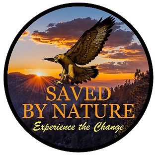 Writer: Saved By Nature