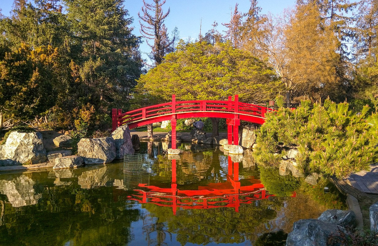 Japanese Friendship Garden Saved By Nature