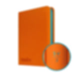 Thumbnail: VaultX 9-Pocket SV 1- SV 10 Edition Binders