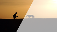 Untitled design (2).png