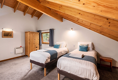 woodland cabin twin room