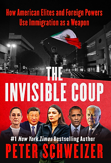The Invisible Coup Book Cover