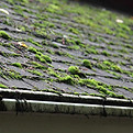 Roof Cleaning Cornwall