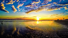 ScreenHunter 1908 (1).png