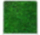 image1.jpeg