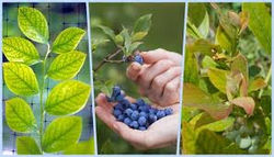 images_q=tbn_ANd9GcSWtQiZ7zeHQLiVrw-7qK1-rd0RgOMQv6WpiQ&usqp=CAU