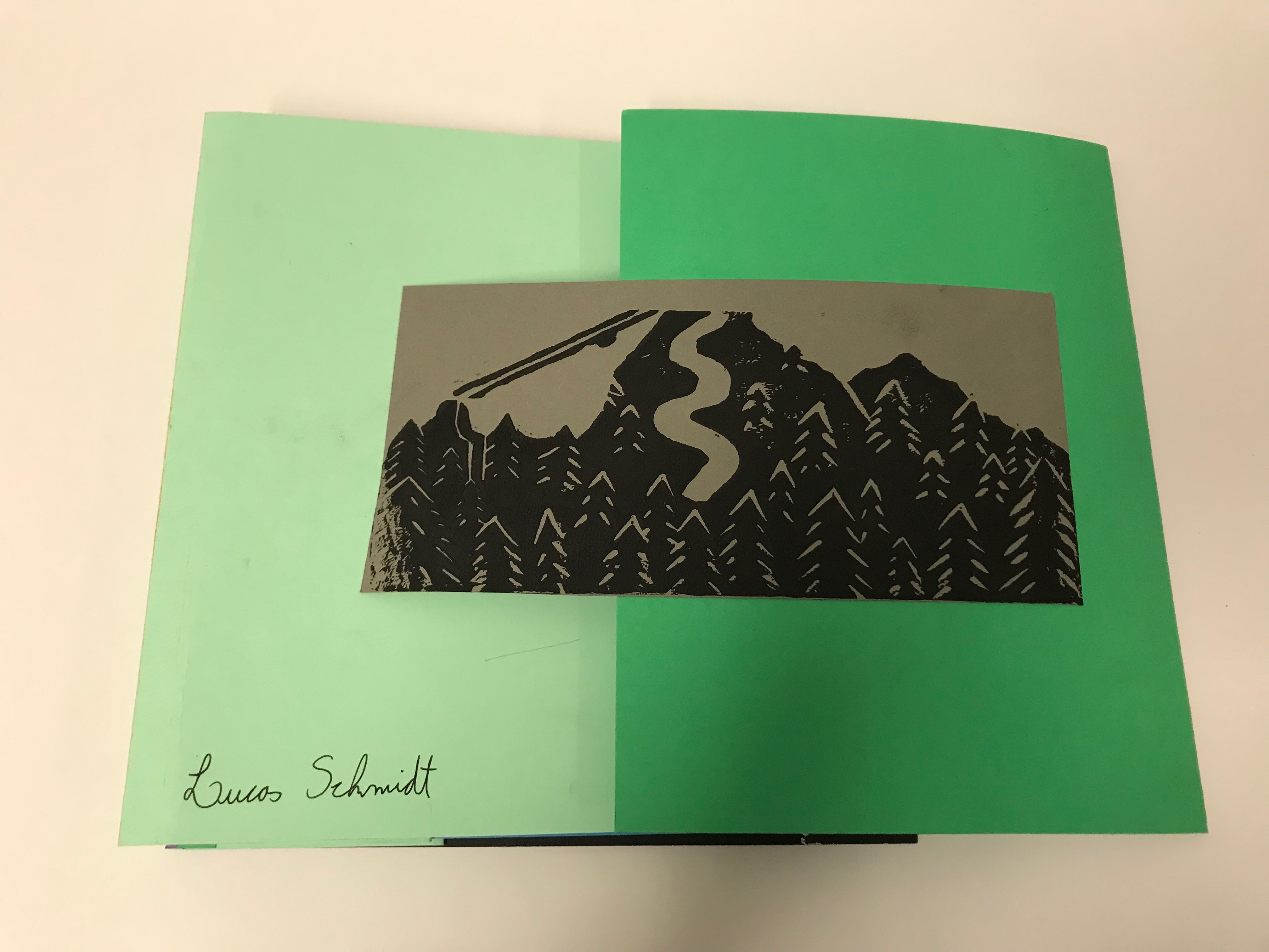 Flag Book cover