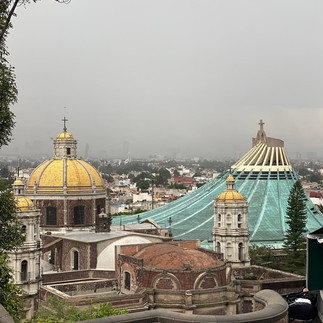 view of mexico city cathedral