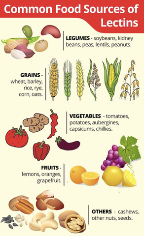 Plant Lectins