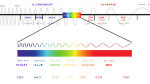Light Guide to Better Sleep Part 1