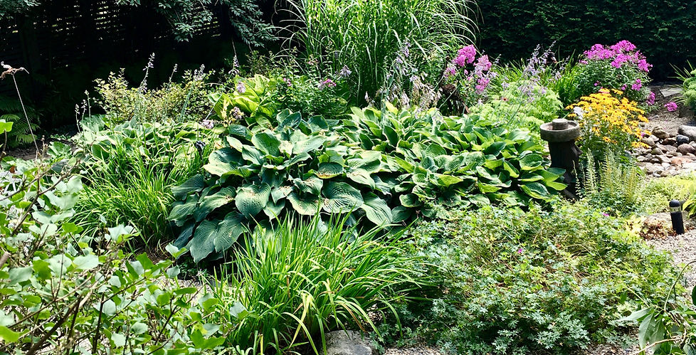 garden image (cropped).jpeg