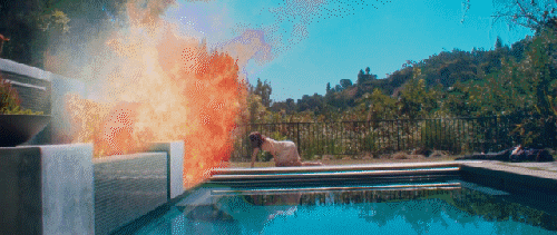 2019 Reel 280p.gif