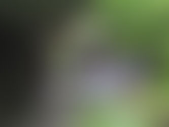 Highgate Tube Station, London Uk📍