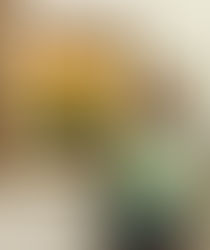 Florida’s Only Original Highwaywoman, to Help Kick off Black History Month at Fort Lauderdale Histor