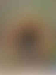 stol narejen iz vej obdan z oranžnimi listi