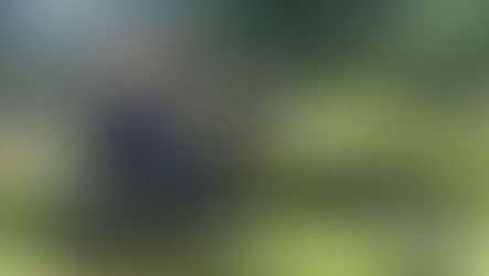 “Berserker” by Bill Evans