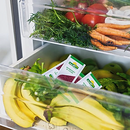 Captura de pantalla 2023-07-13 a la(s) 16.34.58.png